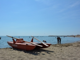 37 DSC_0363