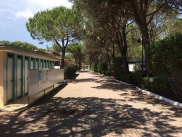 46 Cavallino vizesblokk (4)