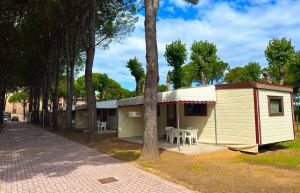 20250524_081940293_iOS_resize