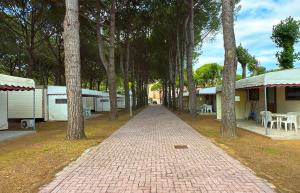 20250524_082017826_iOS