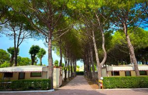 20250525_144211708_iOS_resize