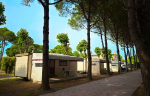 20250525_144439271_iOS_resize