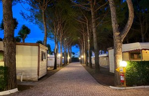 20250525_192322668_iOS_resize