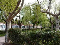 Kemping-15
