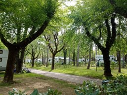Kemping-16