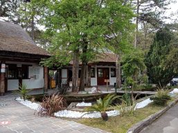 Kemping-19